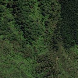Satellite imagery of Te Mara Point, NZ