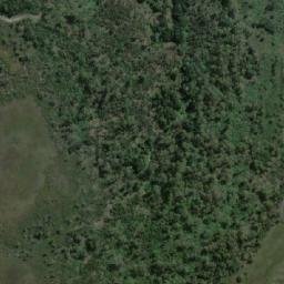 Satellite imagery of Forked Tree Hill, AU
