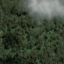 Satellite imagery of Mount Duncan, AU