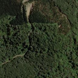 Satellite imagery of 1571 Lookout, NZ
