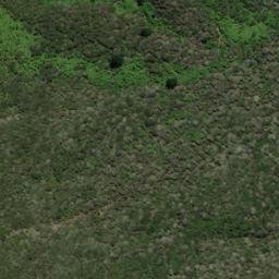 Satellite imagery of One Tree Point, NZ
