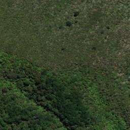Satellite imagery of One Tree Point, NZ