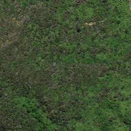 Satellite imagery of One Tree Point, NZ