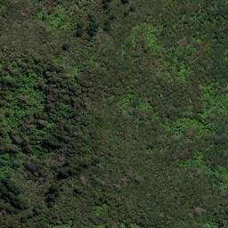 Satellite imagery of KK (Linkwater SD), NZ
