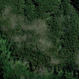 Satellite imagery of ARAPAWA, NZ