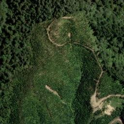 Satellite imagery of 1571 Lookout, NZ