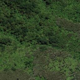 Satellite imagery of One Tree Point, NZ
