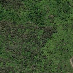 Satellite imagery of One Tree Point, NZ