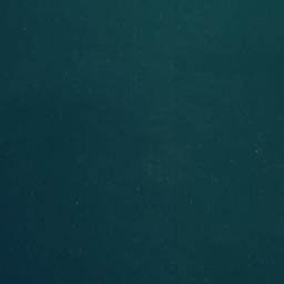 Satellite imagery of Schnapper Point, NZ