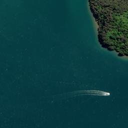 Satellite imagery of Island Point, NZ