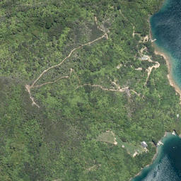 Satellite imagery of Snake Point, NZ
