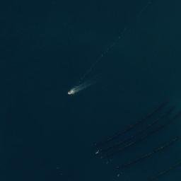 Satellite imagery of Schnapper Point, NZ