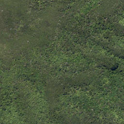 Satellite imagery of Ratimera Point, NZ