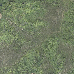 Satellite imagery of Pirapu Point, NZ