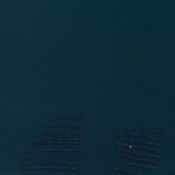 Satellite imagery of 1591, NZ