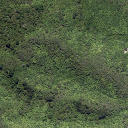 Satellite imagery of Tunoamai Point, NZ