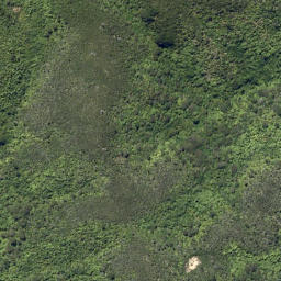Satellite imagery of Ratimera Point, NZ