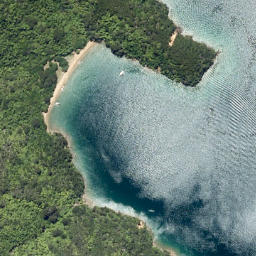 Satellite imagery of Ratimera Point, NZ