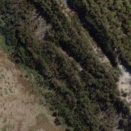 Satellite imagery of Cabbage Tree Hill, AU
