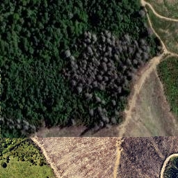 Satellite imagery of Rai Valley Pioneer Cottage, NZ