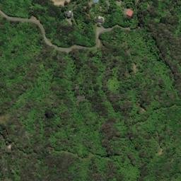 Satellite imagery of P (Linkwater SD), NZ