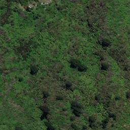 Satellite imagery of P (Linkwater SD), NZ