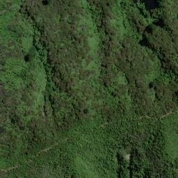 Satellite imagery of P (Linkwater SD), NZ