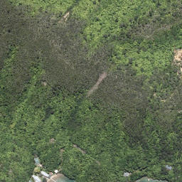 Satellite imagery of Tunoamai Point, NZ
