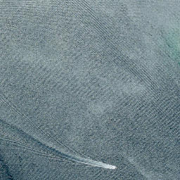 Satellite imagery of Pirapu Point, NZ