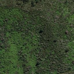 Satellite imagery of Putanui Point, NZ