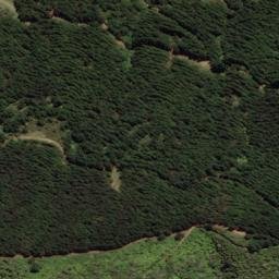 Satellite imagery of 1591, NZ