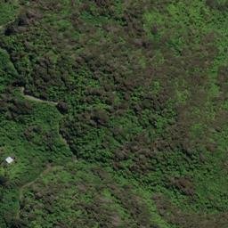 Satellite imagery of REF ONAHAU, NZ