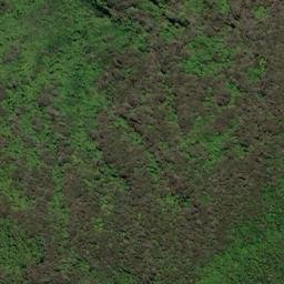 Satellite imagery of REF ONAHAU, NZ