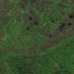 Satellite imagery of REF ONAHAU, NZ