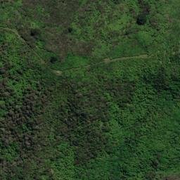 Satellite imagery of P (Linkwater SD), NZ