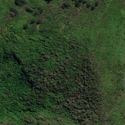 Satellite imagery of P (Linkwater SD), NZ