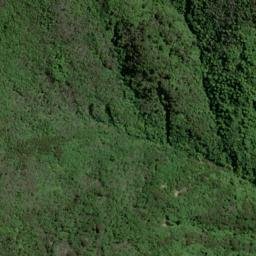 Satellite imagery of P (Linkwater SD), NZ