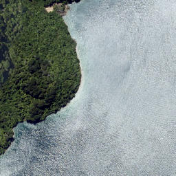 Satellite imagery of Kaipakirikiri Point, NZ