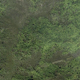 Satellite imagery of Pariwhero Point, NZ