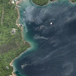 Satellite imagery of Pariwhero Point, NZ