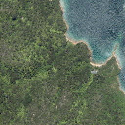 Satellite imagery of Ngatakore Point, NZ