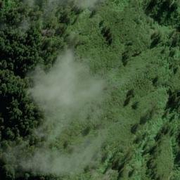 Satellite imagery of Cooks Lookout, NZ