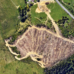 Satellite imagery of Z MT BARRETT, NZ