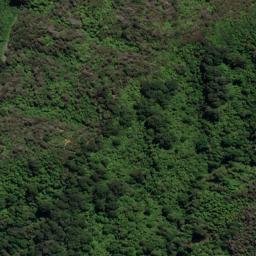 Satellite imagery of REF ONAHAU, NZ