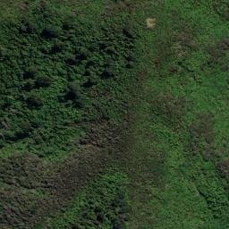 Satellite imagery of REF ONAHAU, NZ