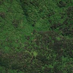 Satellite imagery of REF ONAHAU, NZ