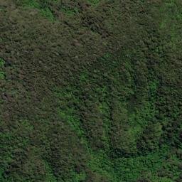 Satellite imagery of P (Linkwater SD), NZ