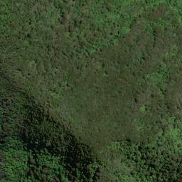 Satellite imagery of P (Linkwater SD), NZ