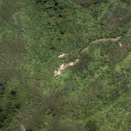 Satellite imagery of Pariwhero Point, NZ