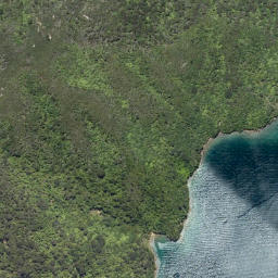 Satellite imagery of Ngatakore Point, NZ